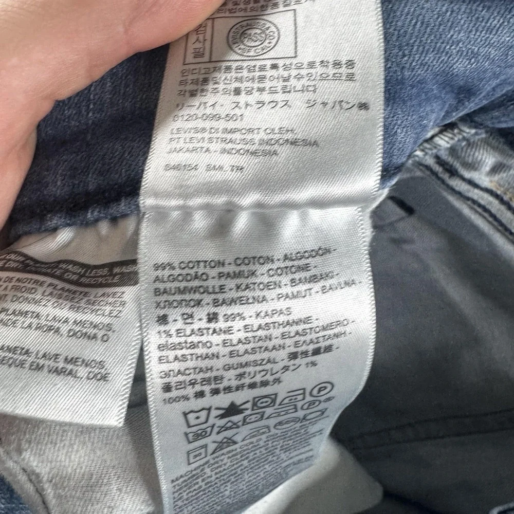 Levis levis 541